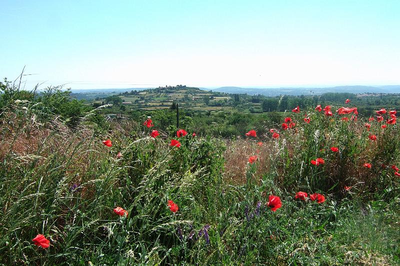 2011-05- (308).JPG - Blick auf Montagny (336 m)